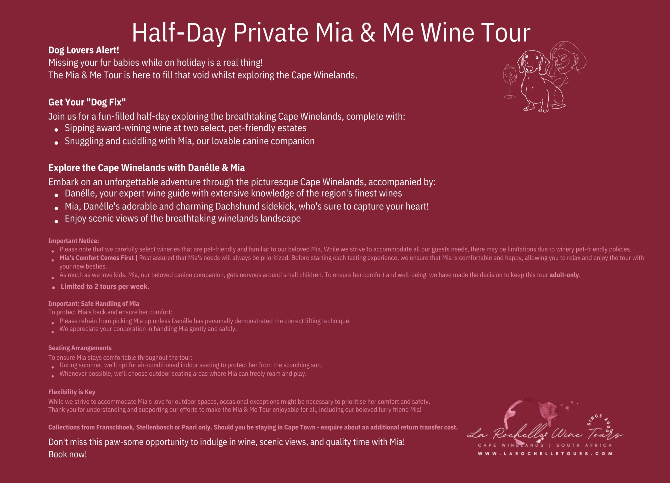 Mia & Me Experience